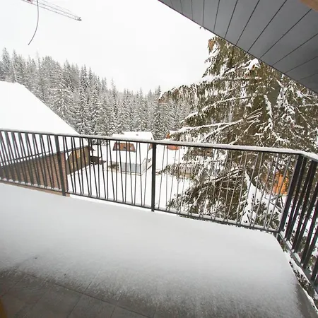 Cornus - Oravská Lesná