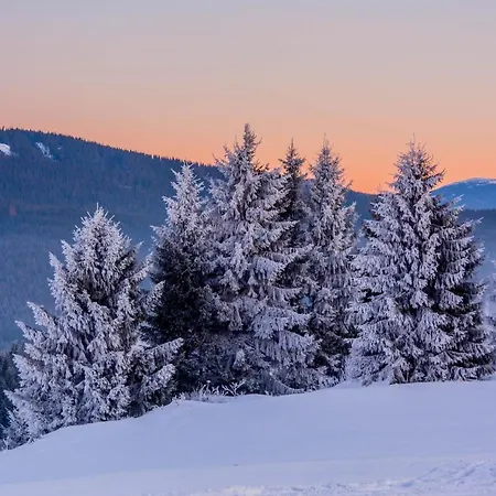 Apartmán Cornus - Oravska Lesna
