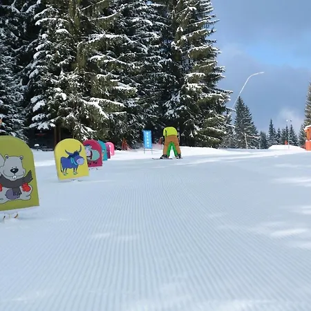 Cornus - * Oravská Lesná